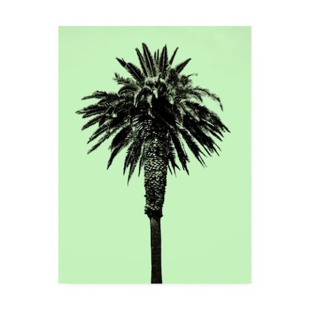 Erik Asla 'Palm Tree 1996 (Green)' Canvas Art,18x24